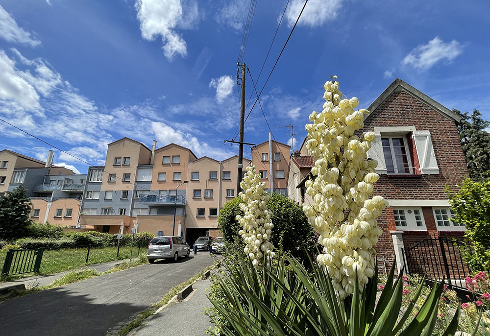 Pavillons_Soubiran_IMG_3995_OPH